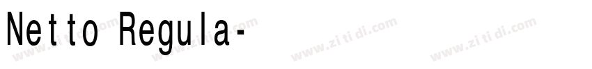 Netto Regula字体转换